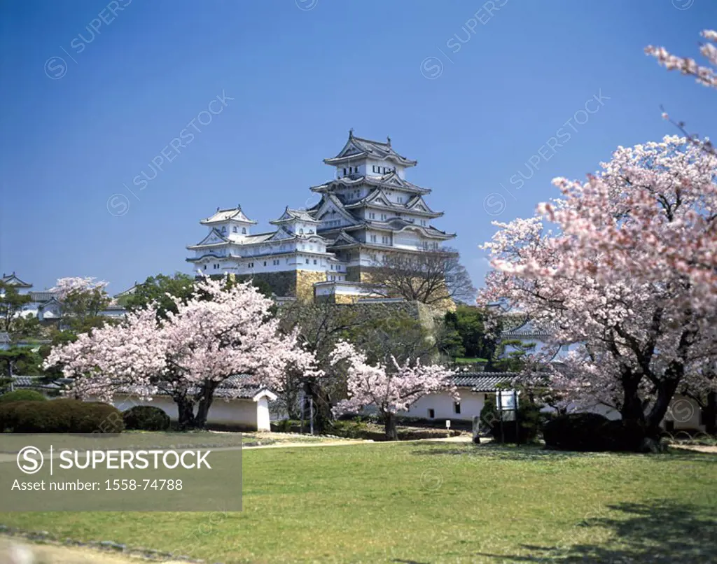 Japan, Himeji, Shirajaki palace,  Cherry trees, blooms  Asia, Eastern Asia, Honshu, Himedschi, sight, landmarks, castle, palace buildings, castle inst...