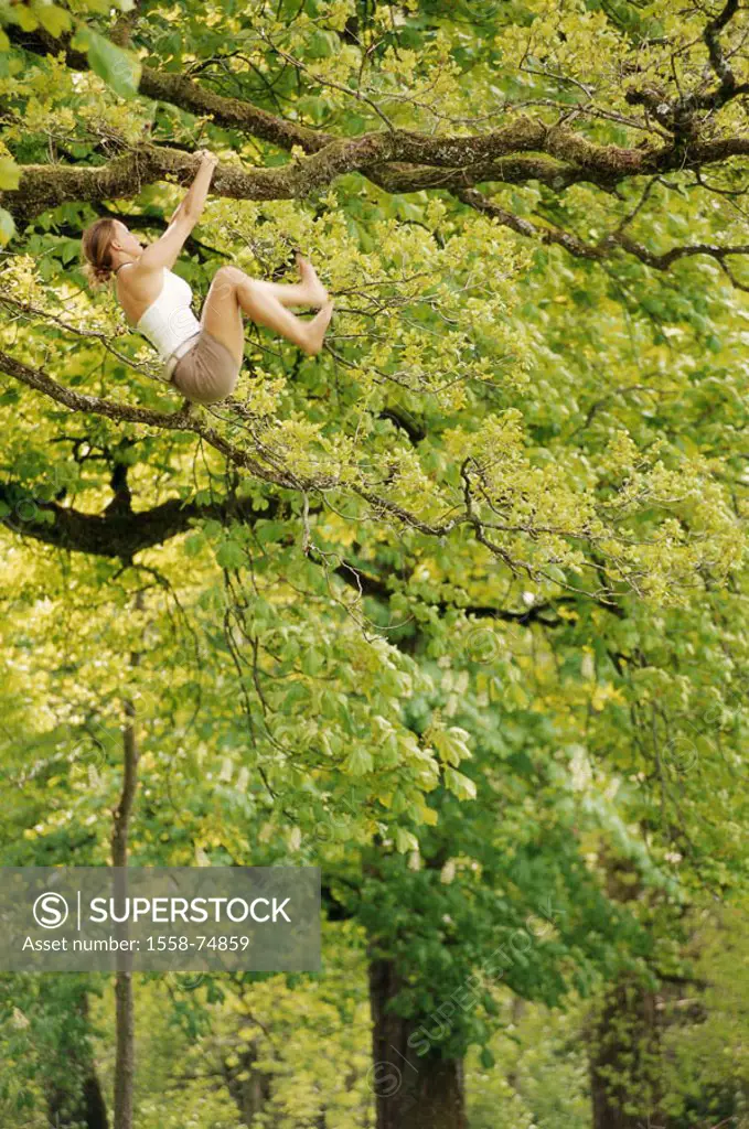 Woman, young, tree, climbs   Teenager, 20-30 years, clothing, summery, miniskirt, athletic, daring, powerfully, fun, leisure time, summers, outside, n...