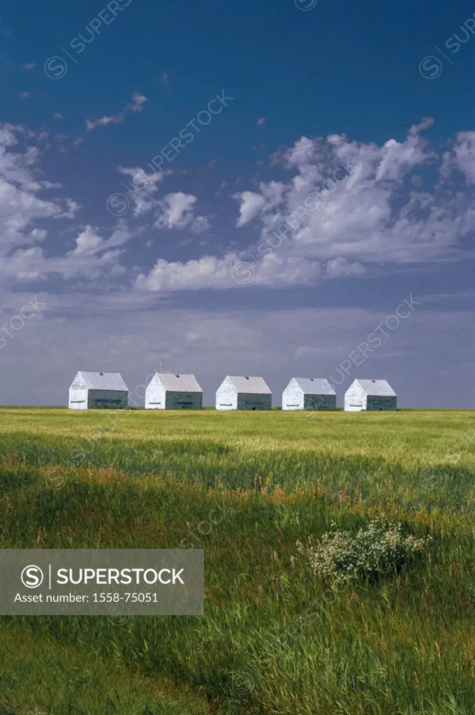 Canada, Alberta, Badlands, fields,  Grain silos  North America, economy, agriculture, cottages, wood cottages, five, silos, storage, storage, grains, ...