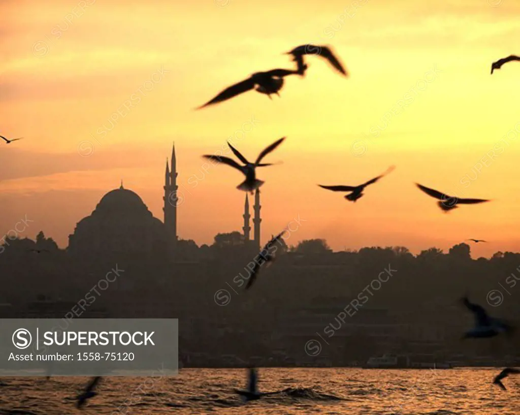 Turkey, Istanbul, golden horn, Gaze, Süleyman-Moschee, sunset  Province capital, mosque, buildings, construction,  build Mimar Sinan 1550-57, architec...
