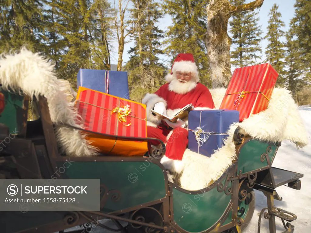 Forest, horse sleighs, Santa Claus,  Golden book, reading,  Christmas gifts Carriage, sled, man, book, wish list, Wish lists, information, gifts, dist...
