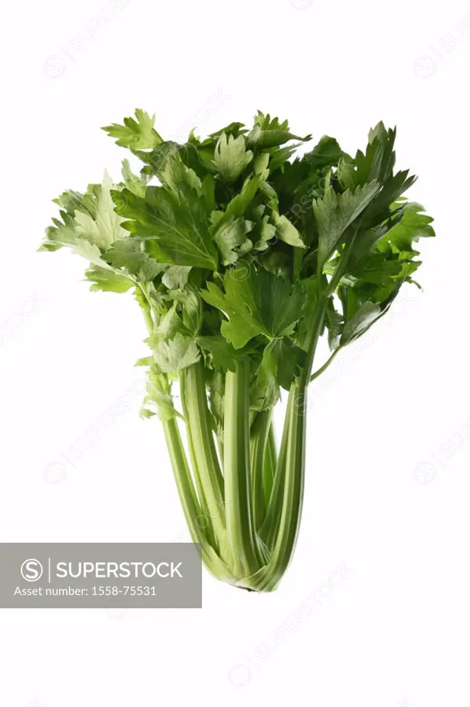 Tree celery   Food, vegetables, celery, Eppich, herb, pale celery, stalk celery, pole celery, stem celery, green, Apium graveolens, quietly life, fact...