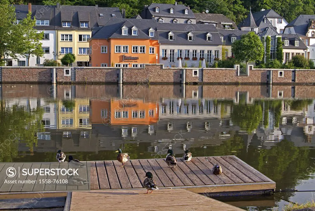 Germany, Rhineland-Palatinate, Saarburg,  Sub city Staden, river Saar, bridge,  Ducks Europe, Central Europe, city, district, houses, residences, rive...