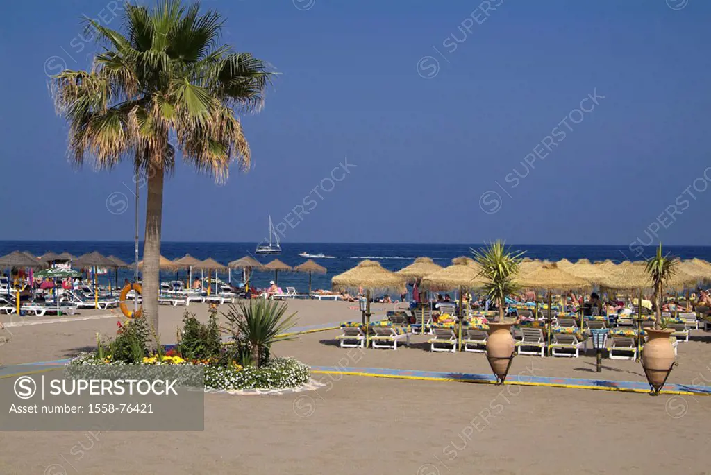 Spain, Andalusia, Costa Del sol,  Torremolinos, beach,  Europe, Southern Europe, Iberian peninsula, destination, destination, sandy beach, vases, palm...