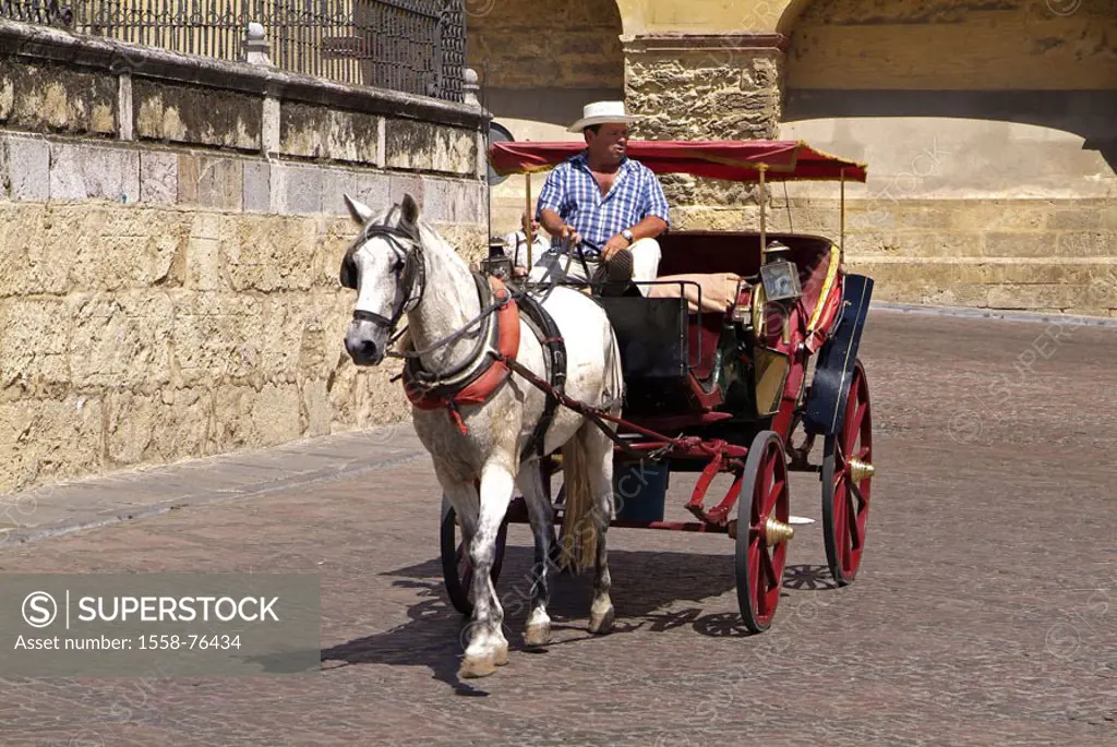 Spain, Andalusia, Cordoba,  Horse carriage, coachmen,  Europe, Southern Europe, Iberian peninsula, destination, carriage, horse, man, occupation, tran...
