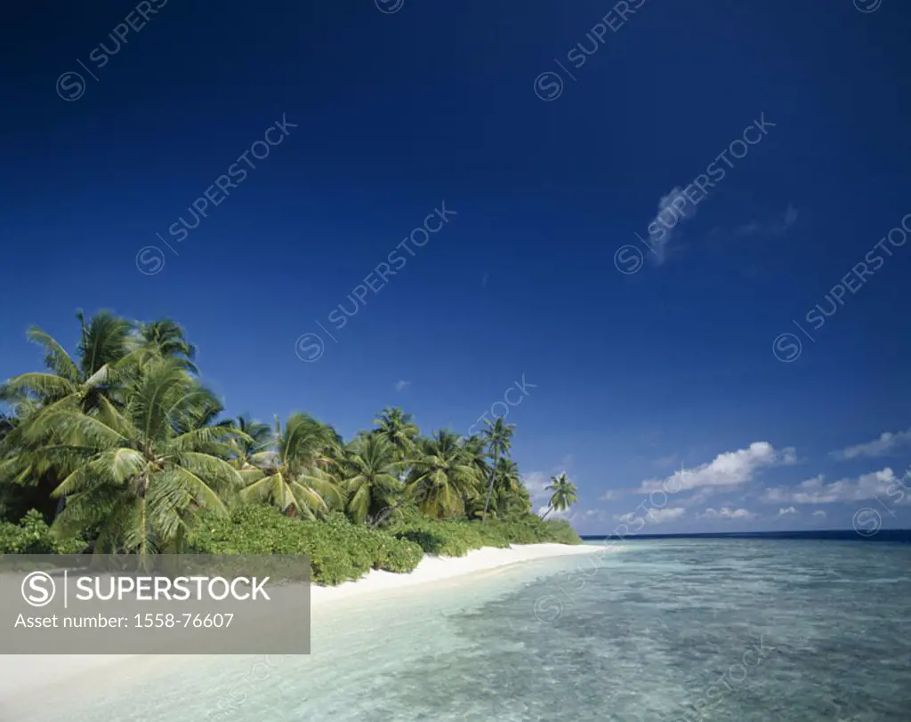 Maldives, Palmenstrand,   Island state, Indian ocean, palm island, sandy beach, Beach, palms, vegetation, dream beach, dream vacation, destination, su...