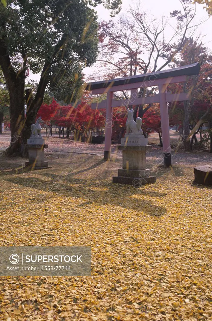 Japan, island Honshu, Nara,  Nara-Park, Torii, fox sculptures, Fall foliage, wind, Asia, park, park, gate, archway, traditional, Pedestals, figures, s...
