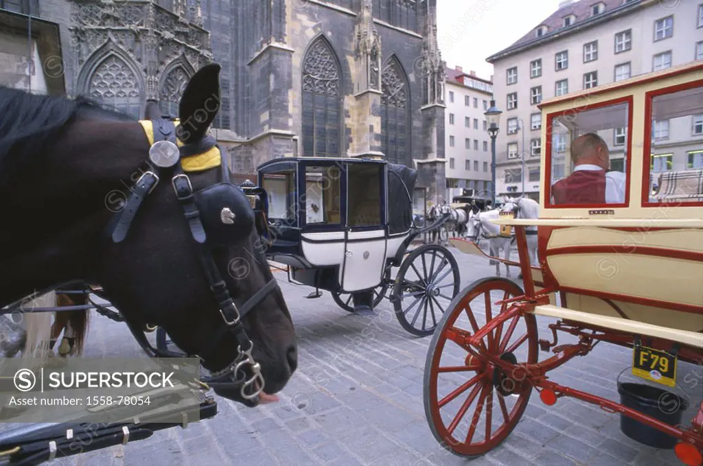 Austria, Vienna, downtown, Stephan place, Fiaker,  1. District, stand, Stephan cathedral, carriages, horses, detail, horse carriages, horse rental car...