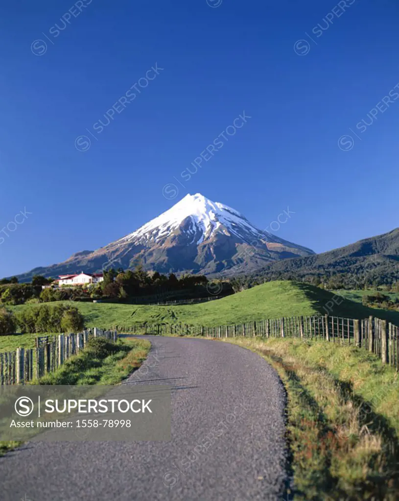 New Zealand, North island, Taranaki,  Egmont Nationalpark park, street, residence, Mount Egmont, 2518 m, highland, landscape, mountain meadows, vegeta...