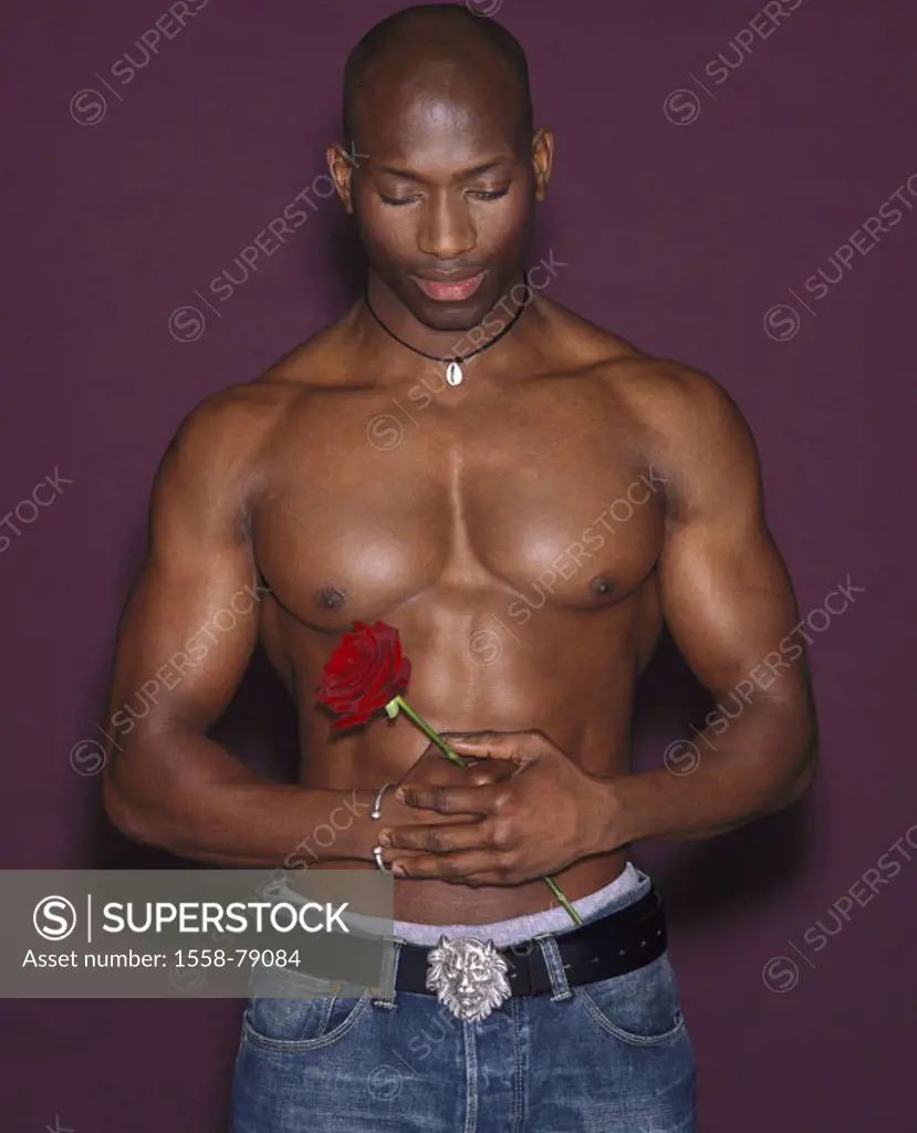 Man, people of color, upper bodies freely, muscular,  Rose, Halbporträt, holds  Series, men´s portrait, 20-30 years, swarthily, necklace durchtrainier...