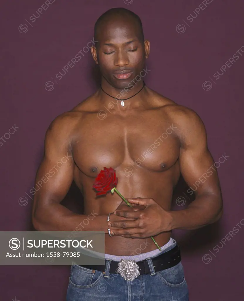 Man, people of color, upper bodies freely, muscular,  Rose, Halbporträt, holding  Series, men´s portrait, 20-30 years, swarthily, necklace durchtraini...