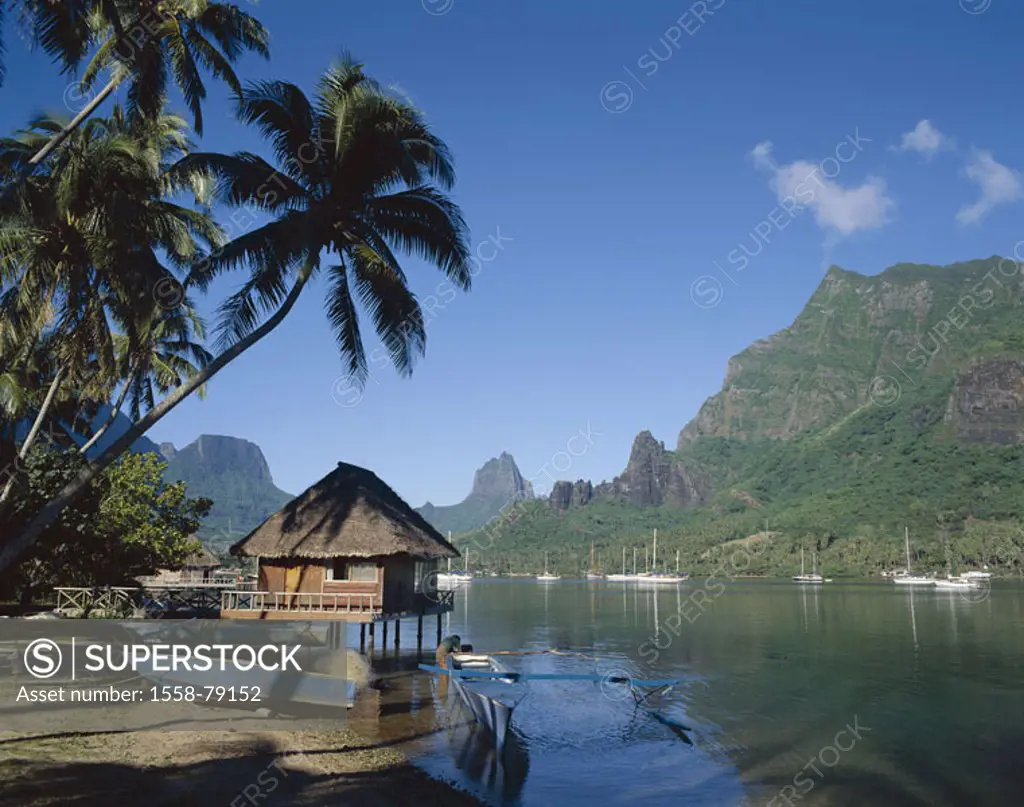 French Polynesia, Moorea,  Cook bay, harbor, sailboats, Beach, Boothütte, South sea, South Pacific, Pacific, Polynesia, island, islands over the wind,...