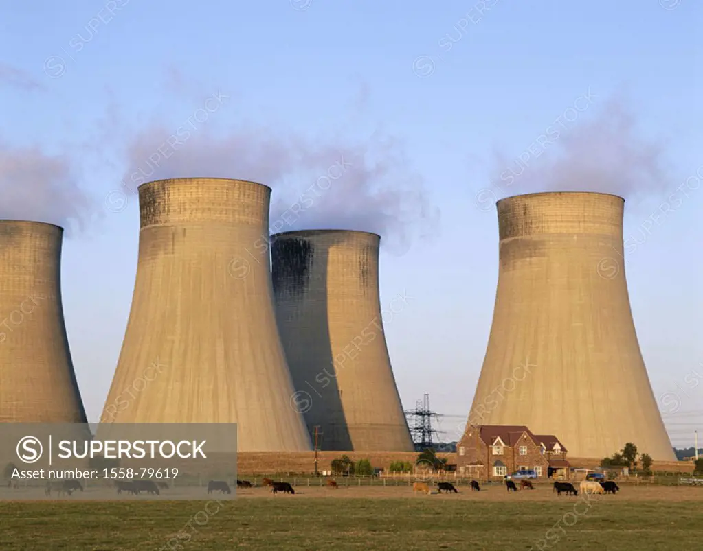 Great Britain, England, Nottinghamshire,  Radcliffe On Trent, industrial installation,  Power plant, cool towers, house, pasture, cows  Europe, island...
