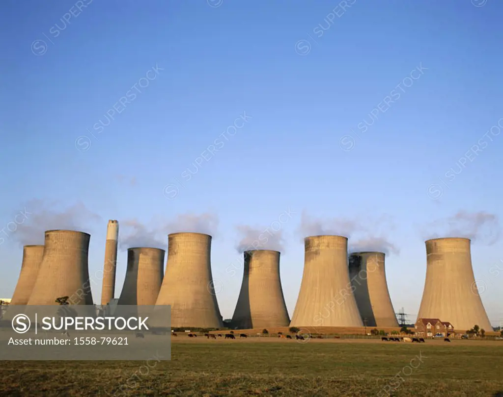 Great Britain, England, Nottinghamshire,  Radcliffe On Trent, industrial installation,  Power plant, cool towers, house, pasture, cows  Europe, island...
