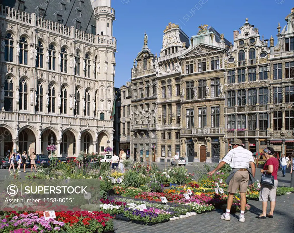 Belgium, Brussels, Grand´ Place,  Flower market, tourists,  Series, Benelux, capital, residence city, capital, big place, market place, gable houses, ...