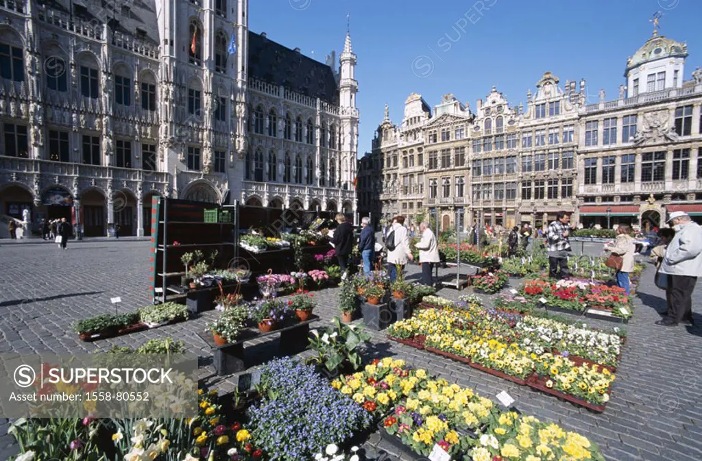 Belgium, Brussels, Grand´ Place,  Flower market, tourists,  Series, Benelux, capital, residence city, capital, big place, market place, gable houses, ...