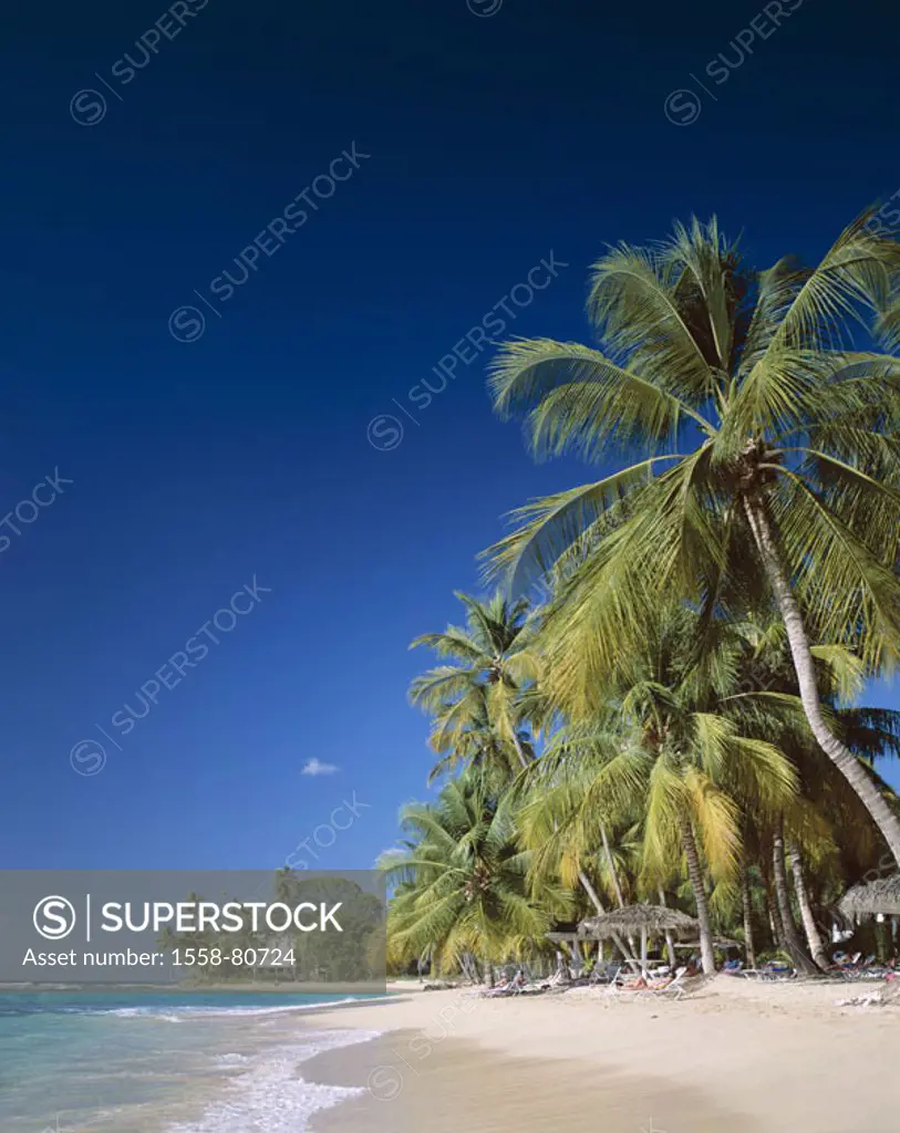 Little one Antilles, island Barbados, Kings Beach,  Beach opinion, palms, swimmers, sea,  Series, Caribbean, islands under the wind, Caribbean island,...