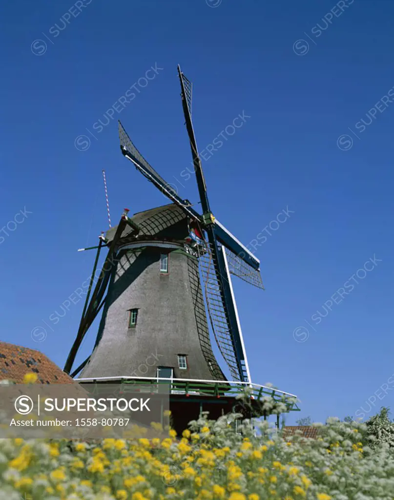 Netherlands, Holland, Zaanse Schans,  Museum village, close to Amsterdam,  Windmill, flowers, summer  Sight, destination, vacation, trip, leisure time...