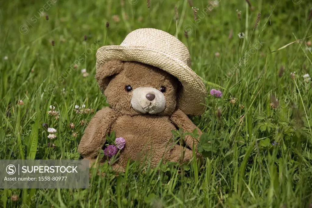 Meadow, teddy, straw hat   Grass, teddy bear, material animal, plush animal, hat, headgear, concept, childhood, toy, Childhood memory, quietly life, f...