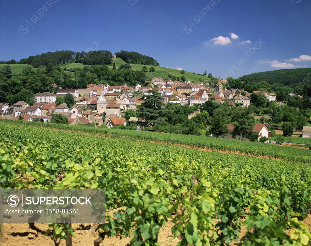 France, Burgundy, Pernand Vergelesses,  skyline, vineyard,   Europe, Bourgogne, Cote de Beaune, wine-growing area, wine region, place, houses, hillsid...