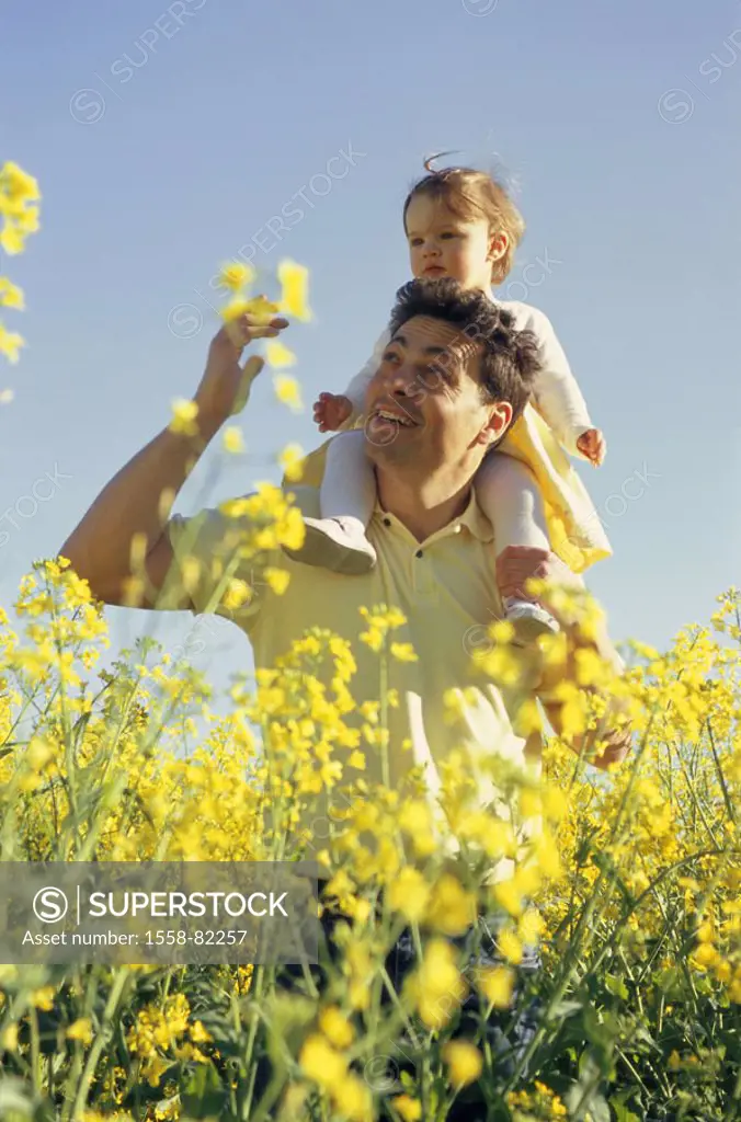 Rapeseed field, father, daughter, shoulders,  sitting, carries, flower, is enough  Man, 30-40 years, parent, paternity, leisure time, trip, child, 1-2...
