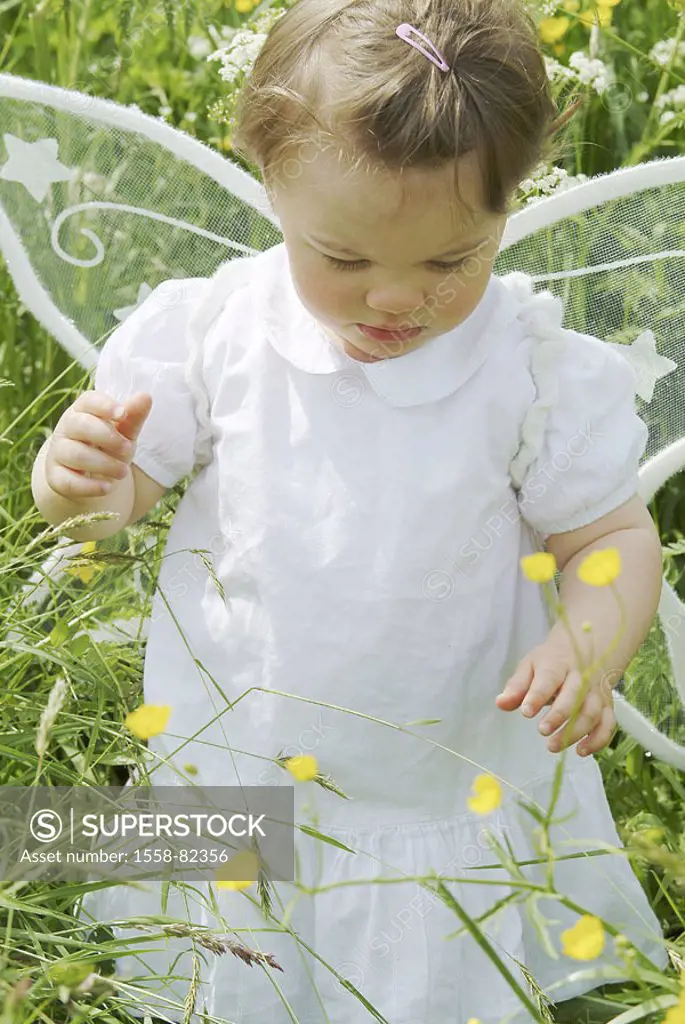 Flower meadow, girls, wings   Series, child, toddler, 1-2 years, childhood, light-heartedness, meadow, grasses, flowers, blooms, spring, blooms outsid...
