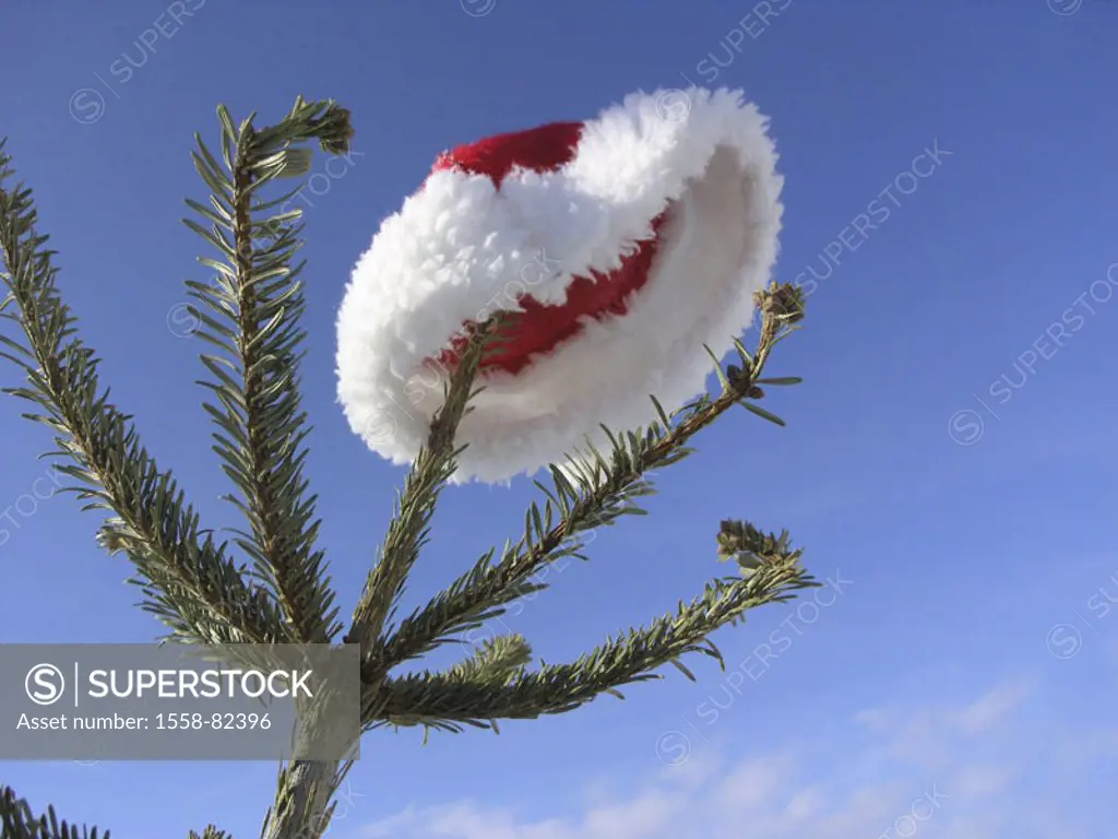 Fir tree, top,  Nikolaus cap, hang  Christmas, christmassy, Christmas time, pre-Christmas period, Advent season, cap, headgear, red, cold, Christmas t...