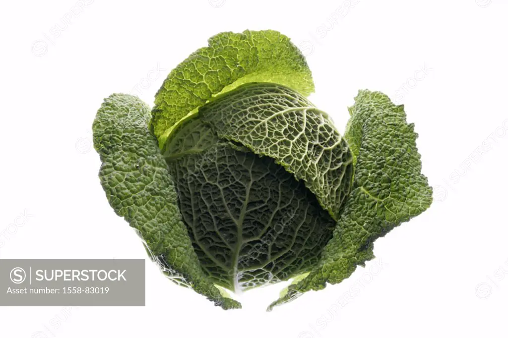 Cabbage, Wirsing, Brassica sabauda   Food, cabbage, Wirsingkohl, vegetables, vegetable cabbage, cook vegetables, cabbage vegetables, garden vegetables...