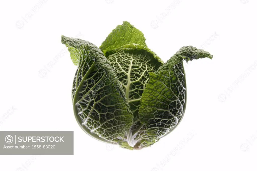 Cabbage, Wirsing, Brassica sabauda   Food, cabbage, Wirsingkohl, vegetables, vegetable cabbage, cook vegetables, cabbage vegetables, garden vegetables...