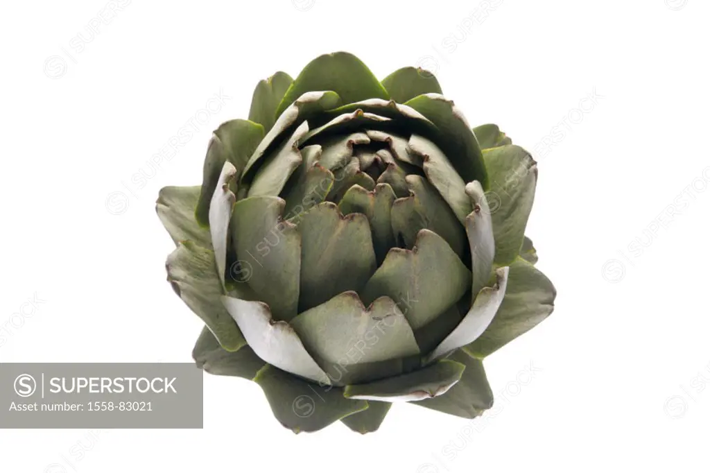 Artichoke, Cynara scolymus, from above   Food, thistle plant, vegetables, vegetable plant, composites, bloom, bloom cover, bloom head, leaf sheds, nut...
