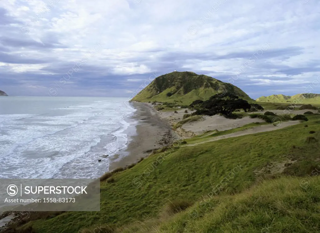 New Zealand, North island, east Cape,  Coast landscape  New Zealand, North Iceland, sight, destination, destination, landscape, nature, coast, Pacific...
