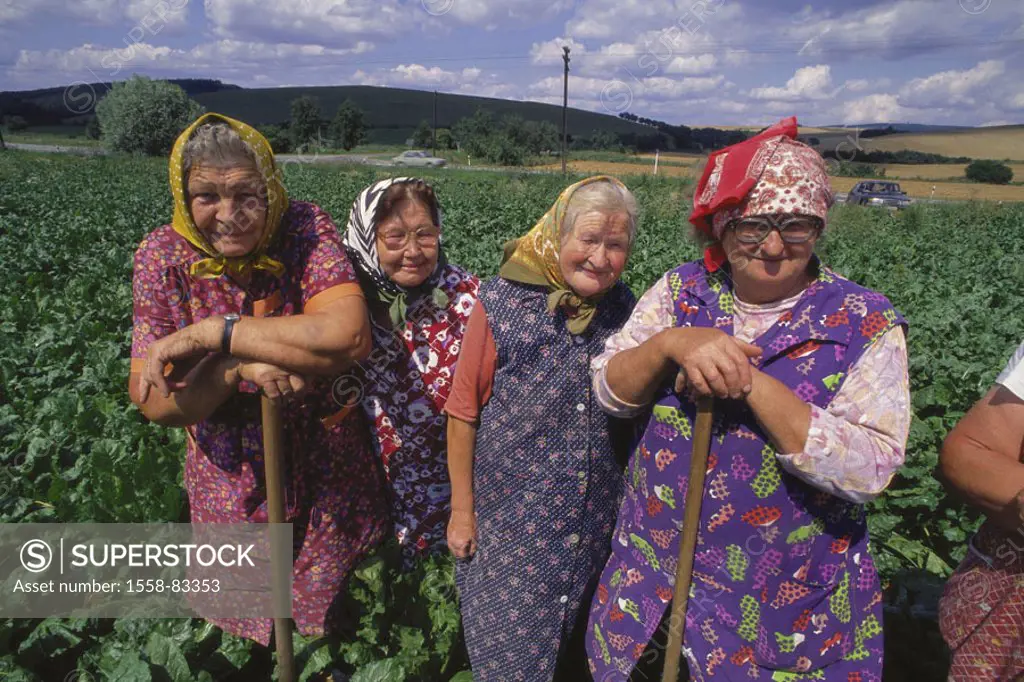 Czech republic, Austerlitz, Workers, field work, pause Central Europe, seniors, women, vegetable field, cultivation, Vegetables, useful plants, work, ...