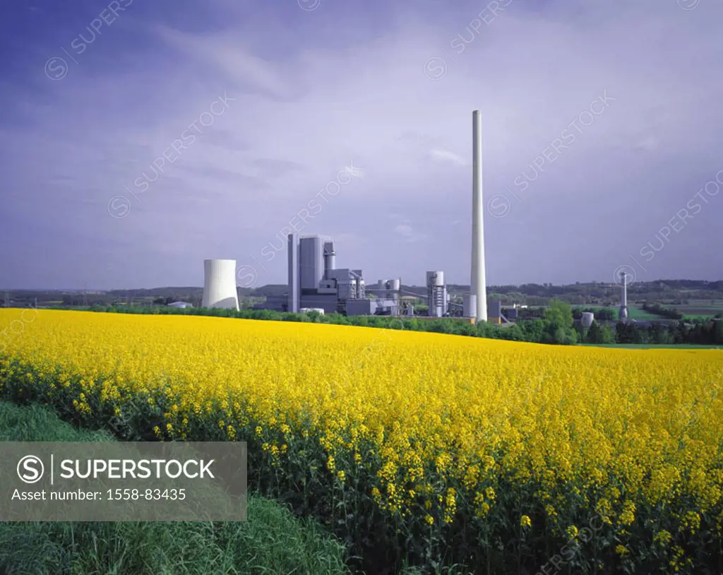 Germany, Upper Bavaria, Zolling,   Coal-fired power station Anglberg, Rapsfeld,  Bavaria, field landscape, cultivation rapeseed, power plant,  Industr...