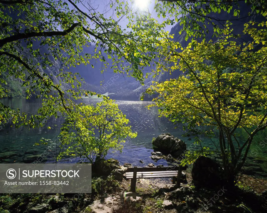 Germany, Bavaria, Nationalpark Berchtesgaden country, Obersee,  Shores, forest, Parkbank Berchtesgaden country, mountains, mountain lake, sea, waters,...