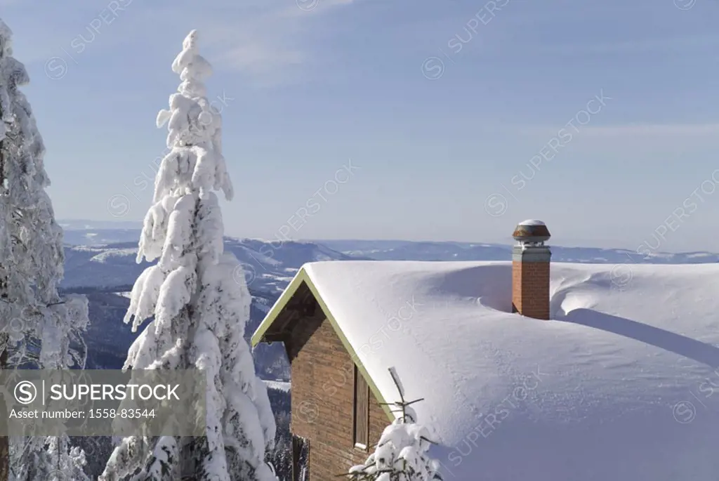 Germany, Baden-Württemberg,  Black forest, Hornisgrinde, outlook,  Winter forest, house roof, detail North Black forest, trees, conifers, snow-covered...