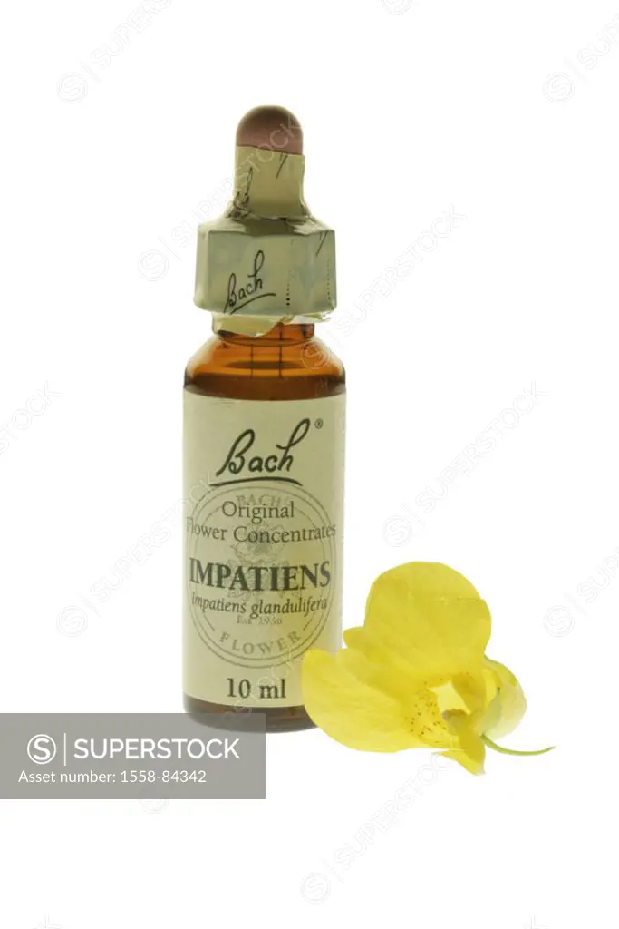 Homeopathy, brook blooms, big  Touch-me-not, Impatiens noli-tangere,  Vial, bloom, free plate  Medicine, nature healing, remedies, nature medicine, na...