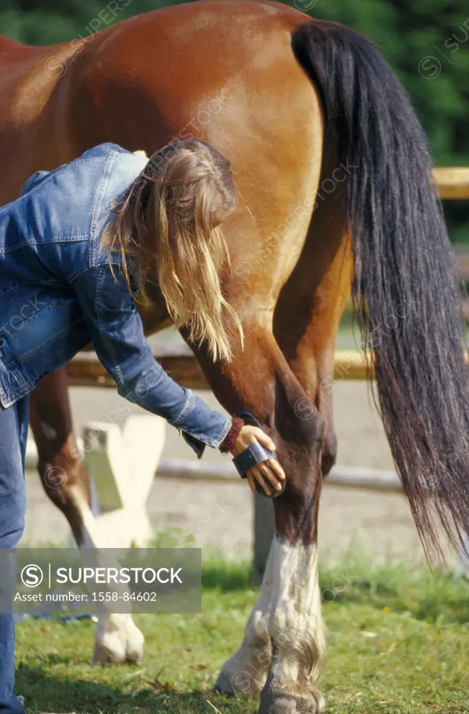 Woman, young, horse, detail, hind leg,  cleans  Teenager, 20-30 years, blond, horsewoman, horse proprietress, leisure time, riding, care, animal care,...