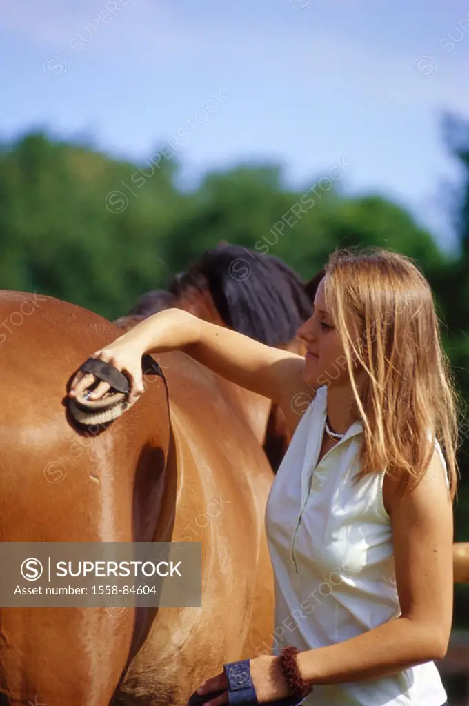 Woman, young, horse, detail, cleans   Teenager, 20-30 years, blond, horsewoman, horse proprietress, leisure time, riding, care, animal care, horse car...