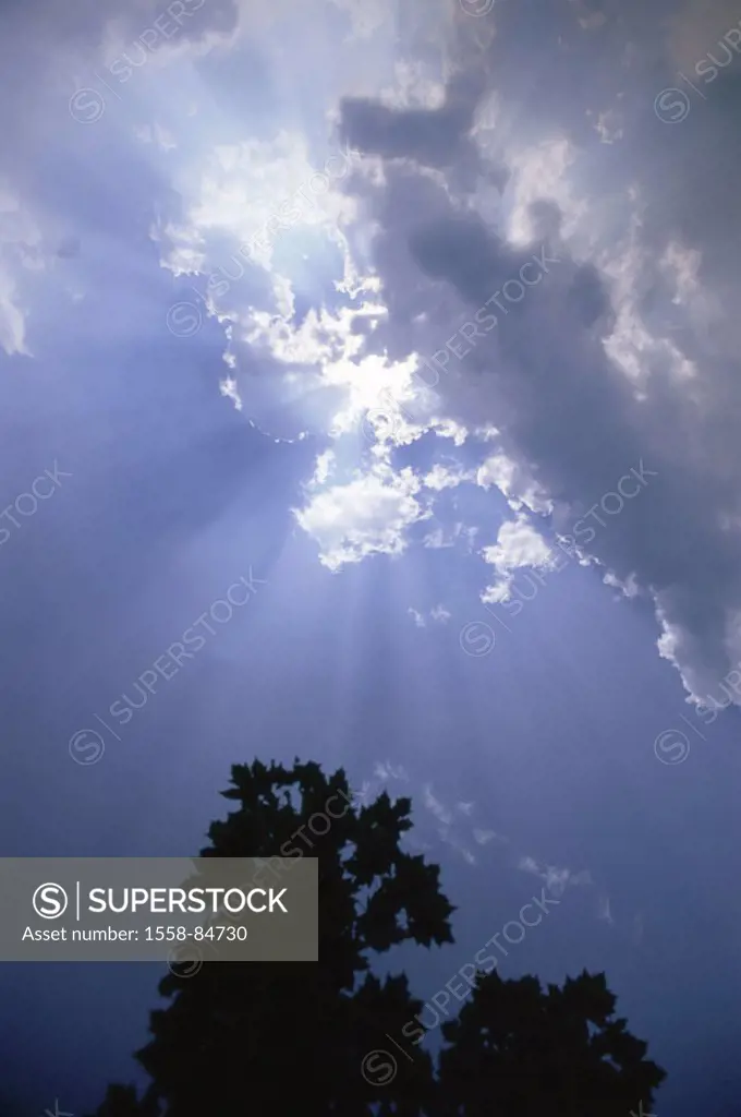 Silhouette, tree, heaven, clouds,  Sunbeams,   Nature, nature drama, clouded sky, draws opens, concept, cloud breakthrough, supernaturally, magically,...