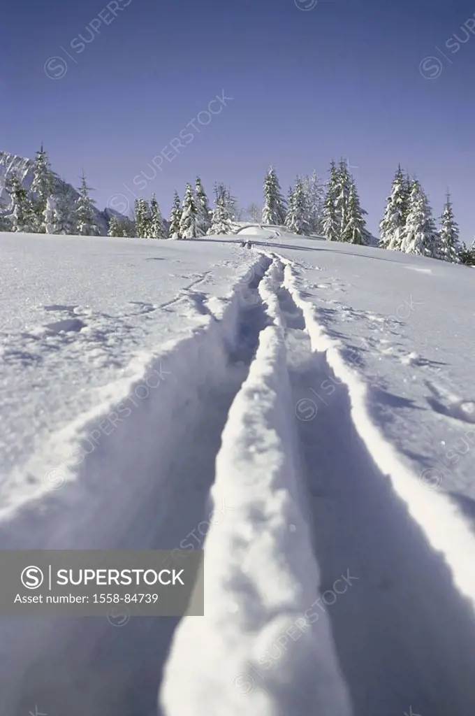 Winter landscape, snow surface,  Skispur,   Nature, season, winters, wintry, snow, snow-covered, snow-covered, landscape, forest, forest edge, trees, ...