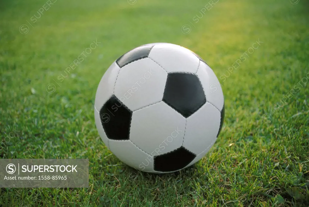Meadow, football, %0A%0A%0ASerie, leather ball, ball, black-and-white, lawns, green, football lawns, sport, team sport, team game, ball sport, lawn sp...