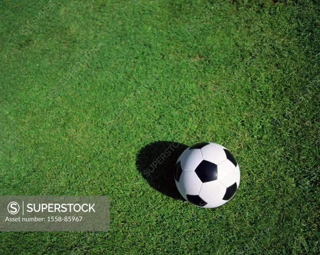 Meadow, football, from above, %0A%0A%0ASerie, leather ball, ball, black-and-white, lawns, green, football lawns, sport, team sport, team game, ball sp...
