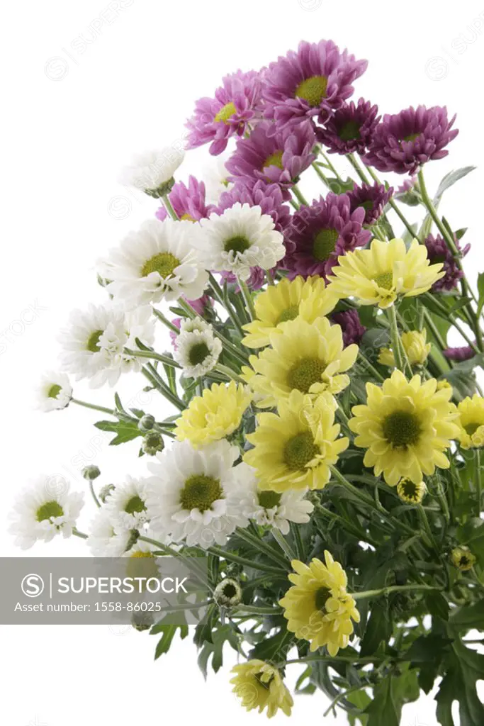 Flower bouquet, chrysanthemums,  Blooms, colors, different,   Flowers, Chrysanthemum indicum, composites, ornament flowers, autumn flowers, flower bou...