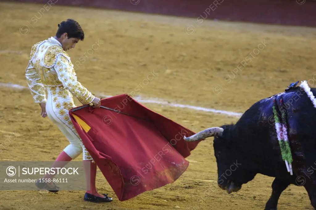 Spain, Valencia, bullring, Torero, Cloth, bull, spears, , Series, sight, tradition, attraction, traditions, show fight, arena, bullfight, animal, wild...