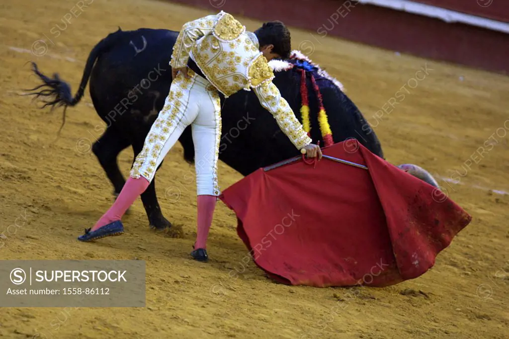 Spain, Valencia, bullring, Torero,  Cloth, bull, spears,   Series, sight, tradition, attraction, traditions, show fight, arena, bullfight, animal, wil...