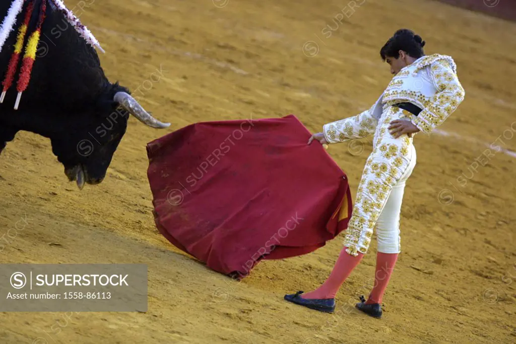 Spain, Valencia, bullring, Torero, Cloth, bull, spears, , Series, sight, tradition, attraction, traditions, show fight, arena, bullfight, animal, wild...