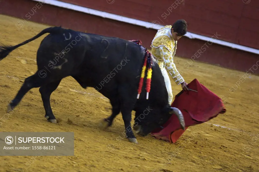 Spain, Valencia, bullring, Torero, Cloth, bull, spears, bleeds, , Series, sight, tradition, attraction, traditions, show fight, arena, bullfight, anim...
