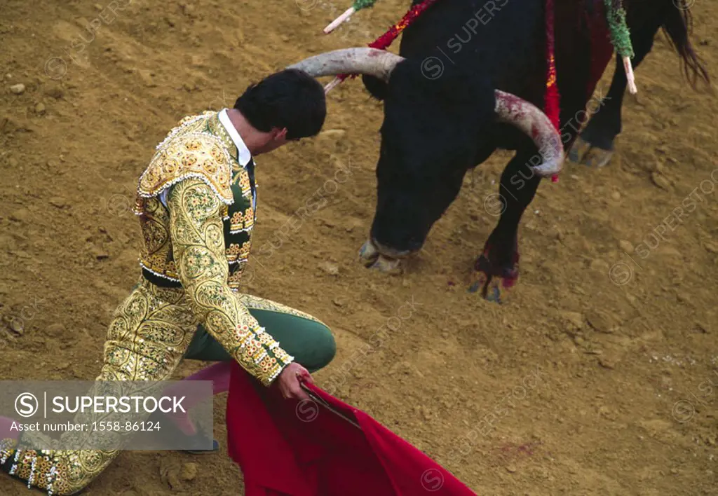 Spain, Valencia, bullring, Torero,  kneeling, cloth, bull, spears, bleeds,  Gaze contact,  Series, sight, tradition, attraction, traditions, show figh...