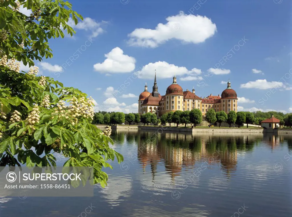 Germany, Saxony, close to Dresden,  Moritz castle, sea, spring,   Series, silver street, water palace, hunt palace, palace, baroque palace, style, bar...
