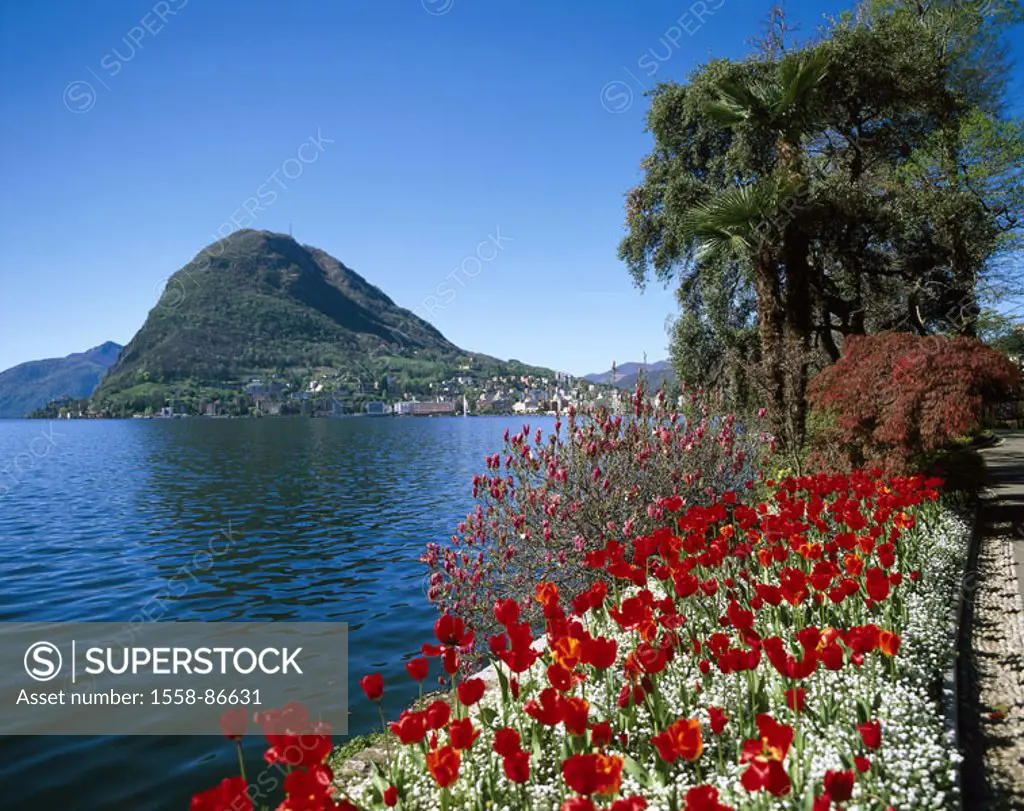 Switzerland, canton Tessin, Lugano, City park ´Parco Ciani ´, gaze Luganer sea, Monte San Salvatore, Europe, health resort, location park, park, shore...